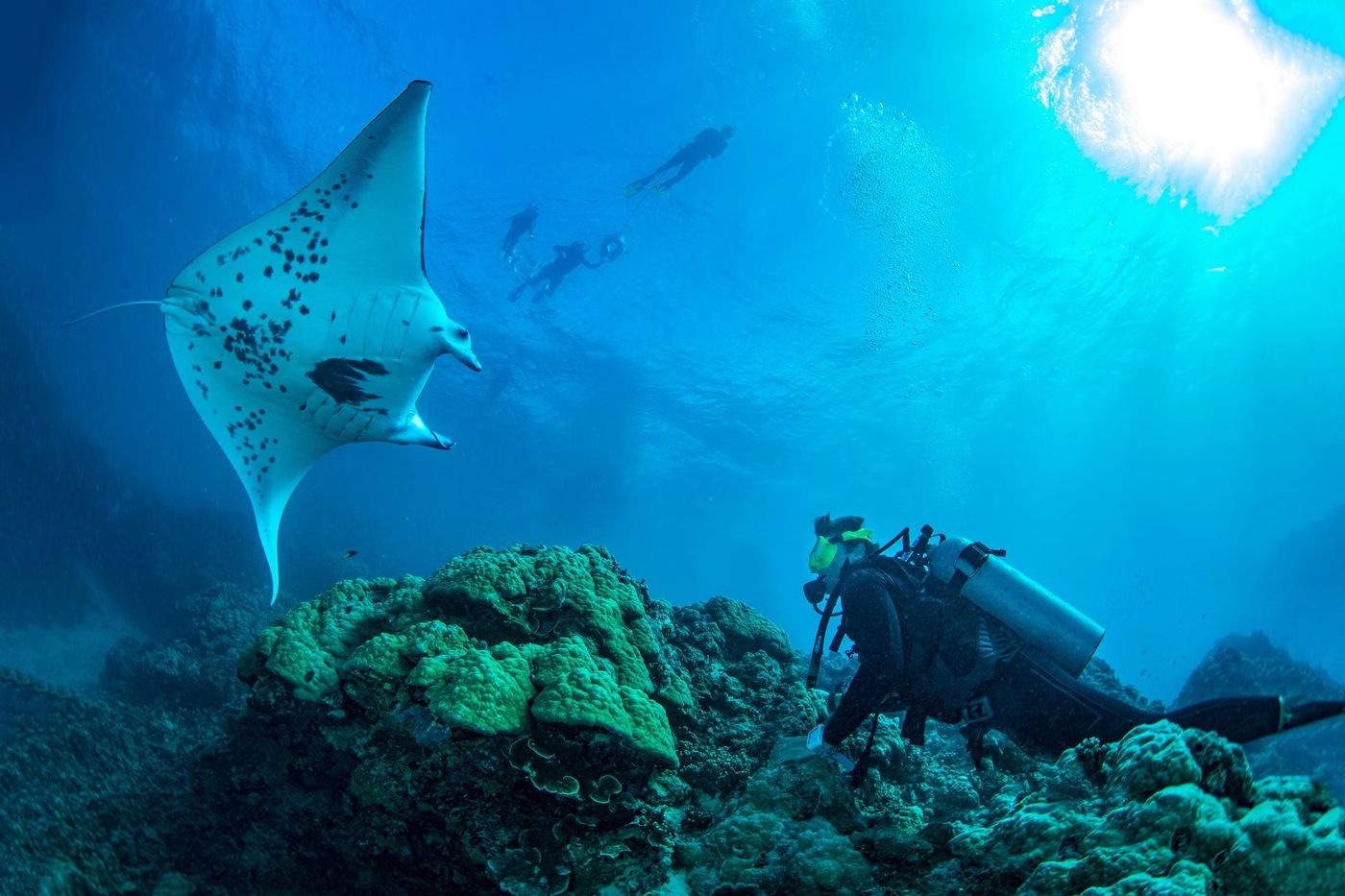 Eaux cristallines de Bora Bora